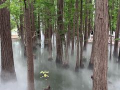 -东湖落雁景区