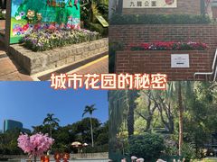 -九龙公园