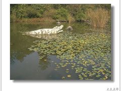 -天目湖山水园