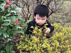 -铁山坪森林公园