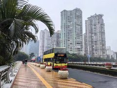 -林淡伯•厦门本地菜•生烫海鲜烧酒配(明发店)