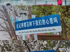 -高东镇樱花园