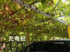 -钰田大院·怀柔地道农家菜·烤虹鳟鱼(雁栖湖店)