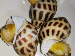 超大花螺-顺德了能馆(虎门店)