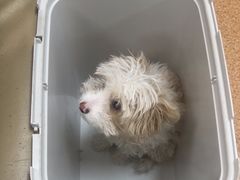 -宠颐生中康贝怡动物医院