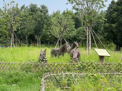 -北京西山国家森林公园