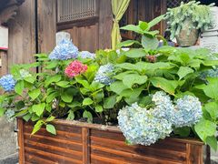 -龙姐私房菜(和顺古镇店)