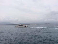 iphone_upload_pic-万绿园