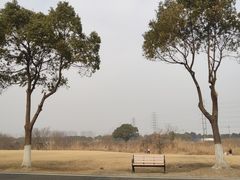 -漕湖湿地公园