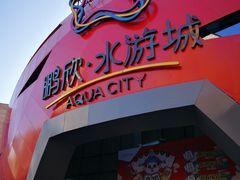 -鹏欣水游城