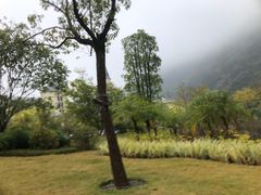 -上南瓦煲鸡·清远鸡·老字号(总店)
