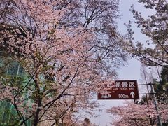 -鸡鸣赐茶(鸡鸣寺路店)