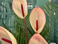 -南堂馆·新川菜(春熙路店)