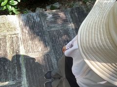 -广州白江湖森林公园