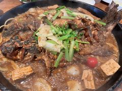 -老板恋上鱼(恒隆广场店)