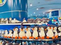 -上海海洋水族馆