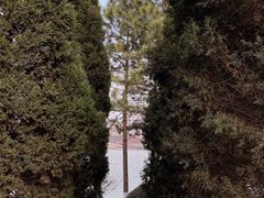 -白塘生态植物园