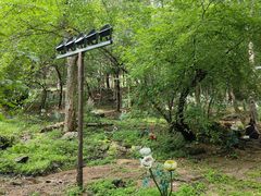 -吉林市朱雀山国家森林公园