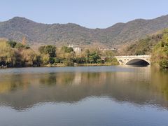 -杭州半山国家森林公园