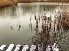 -西湖风景区-江洋畈生态公园