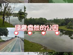 -贡湖湾湿地公园