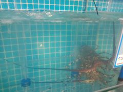 -琼大师东方烤乳猪(亚特兰蒂斯店)