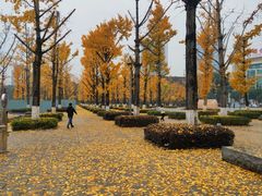 -两江幸福广场