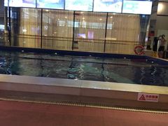 -海乐健康美食·SPA水疗会(水都假日酒店)