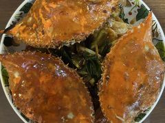 -众彩物流水产市场