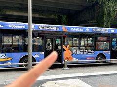 -帕帕拉兹宠物(亚洲旗舰店)