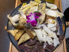 -一朵菌·野生菌探索家火锅(南亚店)