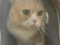 -美联众合动物医院·24h京西诊疗中心