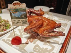 -大鸽饭(岗顶店)