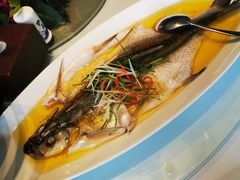 -同庆楼(金宝汇店)