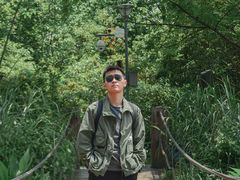 -桤木河湿地公园