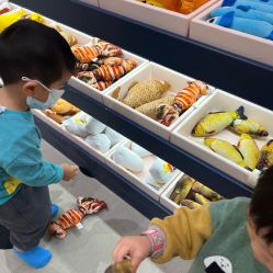 -MELAND亲子乐园•活动包场(北京亦庄龙湖天街店)