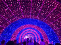-大塘金香草谷