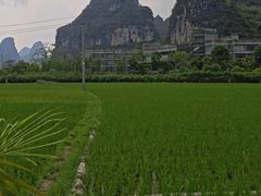 -明仕田园