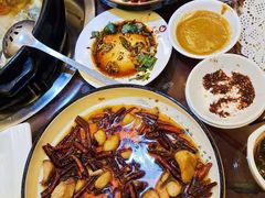 -志晖园圆子鸡·辣子鸡(阳光店)