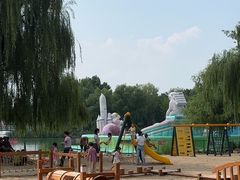 -大兴滨河森林公园