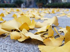 -品回味清真西北楼(宁波首店)