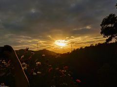 -红花湖景区