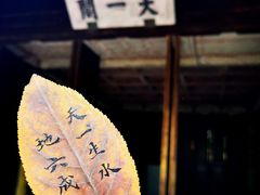 -天一阁博物院