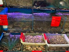 水产区-金海湾海鲜排档(朱家尖店)