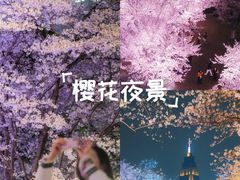 -西北湖绿化广场