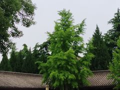 -法门文化景区