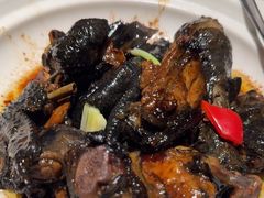 -宋小谨(惠安禹洲店)