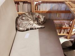 -小时光咖啡馆(开森度假森林店)