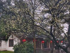-郭庄茶室