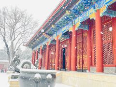 -颐和园